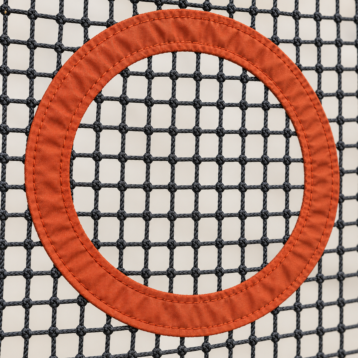 Arc Practice Net