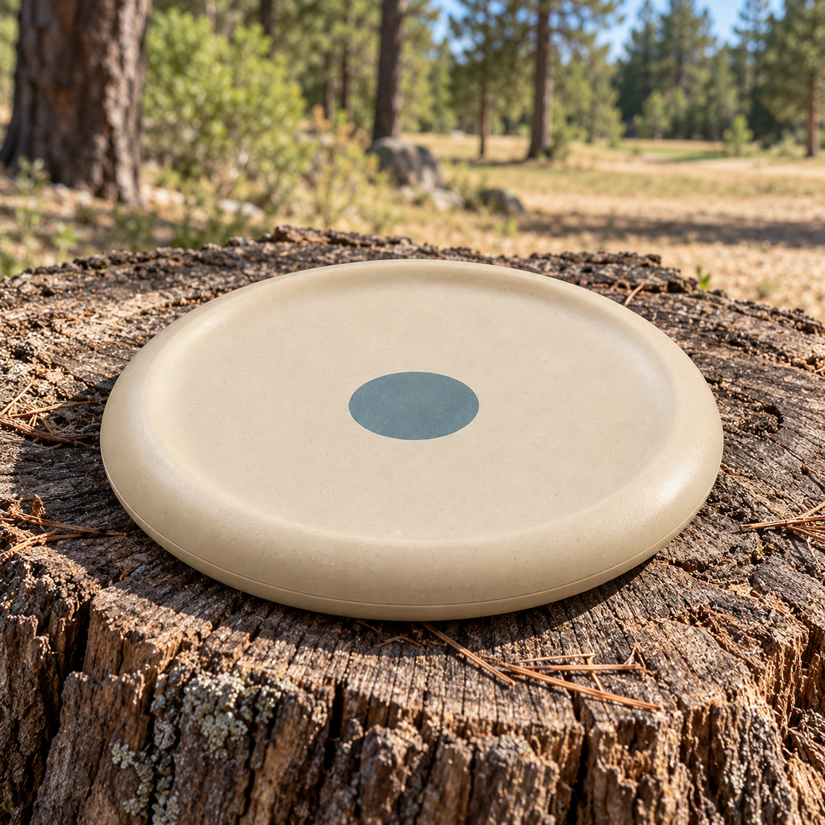 Basin Putt Disc